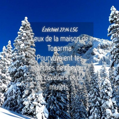 Picture 04 - Ézéchiel 27:14 LSG - Ceux de la maison de Togarma Pourvoyaient tes - Bible Verse Picture