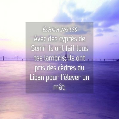 Picture 04 - Ézéchiel 27:5 LSG - Avec des cyprès de Senir ils ont fait tous tes - Bible Verse Picture