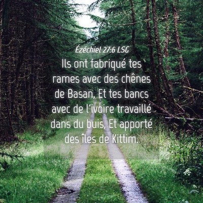 Picture 04 - Ézéchiel 27:6 LSG - Ils ont fabriqué tes rames avec des chênes de - Bible Verse Picture