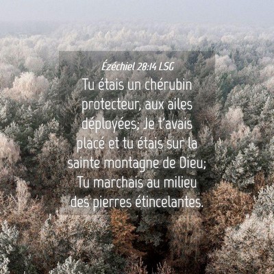 Picture 04 - Ézéchiel 28:14 LSG - Tu étais un chérubin protecteur, aux ailes - Bible Verse Picture