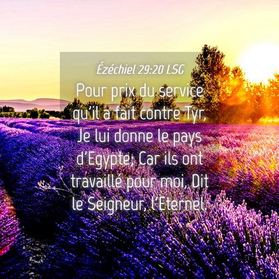 Picture 04 - Ézéchiel 29:20 LSG - Pour prix du service qu'il a fait contre Tyr, Je - Bible Verse Picture