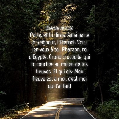 Picture 04 - Ézéchiel 29:3 LSG - Parle, et tu diras: Ainsi parle le Seigneur, - Bible Verse Picture