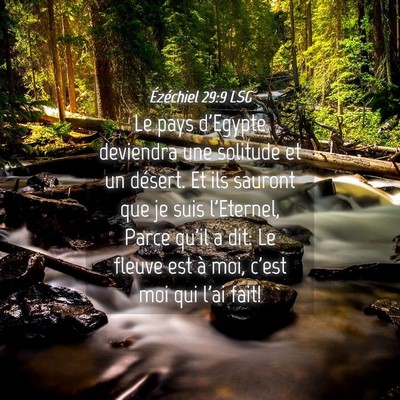 Picture 04 - Ézéchiel 29:9 LSG - Le pays d'Egypte deviendra une solitude et un - Bible Verse Picture
