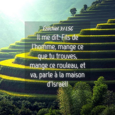 Picture 04 - Ézéchiel 3:1 LSG - Il me dit: Fils de l'homme, mange ce que tu - Bible Verse Picture