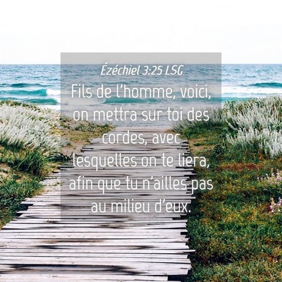 Picture 04 - Ézéchiel 3:25 LSG - Fils de l'homme, voici, on mettra sur toi des - Bible Verse Picture