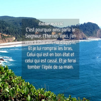 Picture 04 - Ézéchiel 30:22 LSG - C'est pourquoi ainsi parle le Seigneur, - Bible Verse Picture