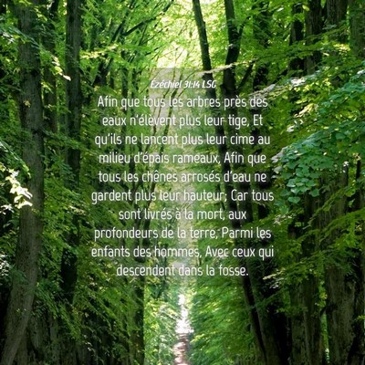 Picture 04 - Ézéchiel 31:14 LSG - Afin que tous les arbres près des eaux - Bible Verse Picture
