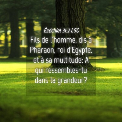 Picture 04 - Ézéchiel 31:2 LSG - Fils de l'homme, dis à Pharaon, roi d'Egypte, et - Bible Verse Picture