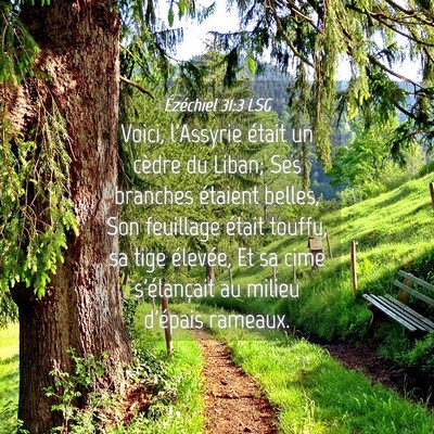 Picture 04 - Ézéchiel 31:3 LSG - Voici, l'Assyrie était un cèdre du Liban; Ses - Bible Verse Picture