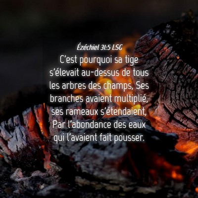 Picture 04 - Ézéchiel 31:5 LSG - C'est pourquoi sa tige s'élevait au-dessus de - Bible Verse Picture