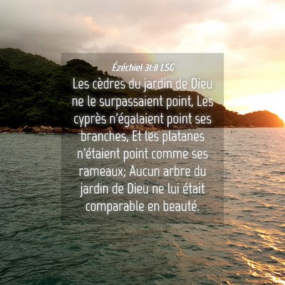 Picture 04 - Ézéchiel 31:8 LSG - Les cèdres du jardin de Dieu ne le surpassaient - Bible Verse Picture