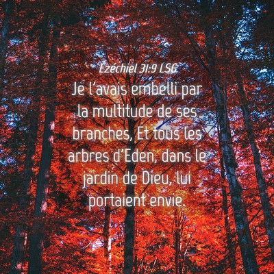 Picture 04 - Ézéchiel 31:9 LSG - Je l'avais embelli par la multitude de ses - Bible Verse Picture