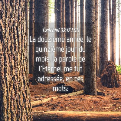 Picture 04 - Ézéchiel 32:17 LSG - La douzième année, le quinzième jour du mois, - Bible Verse Picture