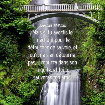 Picture 04 - Ézéchiel 33:9 LSG - Mais si tu avertis le méchant pour le détourner - Bible Verse Picture
