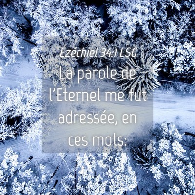 Picture 04 - Ézéchiel 34:1 LSG - La parole de l'Eternel me fut adressée, en ces - Bible Verse Picture