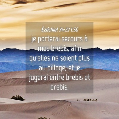 Picture 04 - Ézéchiel 34:22 LSG - je porterai secours à mes brebis, afin qu'elles - Bible Verse Picture