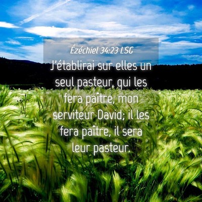 Picture 04 - Ézéchiel 34:23 LSG - J'établirai sur elles un seul pasteur, qui les - Bible Verse Picture