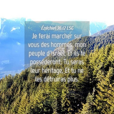 Picture 04 - Ézéchiel 36:12 LSG - Je ferai marcher sur vous des hommes, mon peuple - Bible Verse Picture