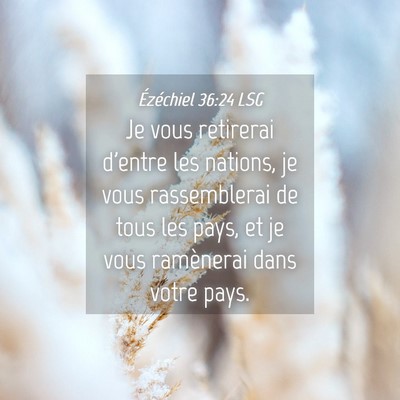 Picture 04 - Ézéchiel 36:24 LSG - Je vous retirerai d'entre les nations, je vous - Bible Verse Picture