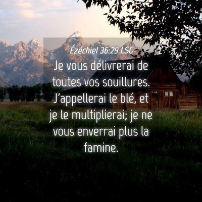 Picture 04 - Ézéchiel 36:29 LSG - Je vous délivrerai de toutes vos souillures. - Bible Verse Picture