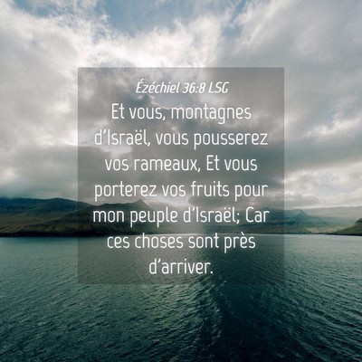 Picture 04 - Ézéchiel 36:8 LSG - Et vous, montagnes d'Israël, vous pousserez vos - Bible Verse Picture