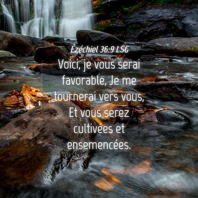 Picture 04 - Ézéchiel 36:9 LSG - Voici, je vous serai favorable, Je me tournerai - Bible Verse Picture
