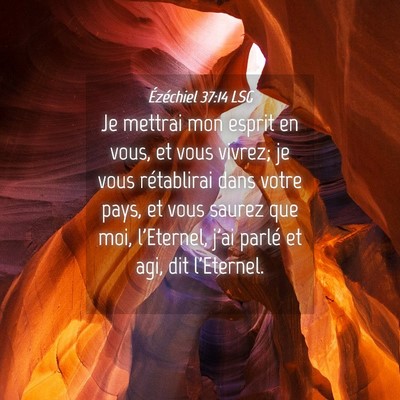 Picture 04 - Ézéchiel 37:14 LSG - Je mettrai mon esprit en vous, et vous vivrez; je - Bible Verse Picture
