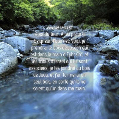Picture 04 - Ézéchiel 37:19 LSG - réponds-leur: Ainsi parle le Seigneur, - Bible Verse Picture