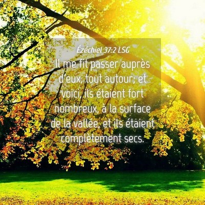 Picture 04 - Ézéchiel 37:2 LSG - Il me fit passer auprès d'eux, tout autour; et - Bible Verse Picture