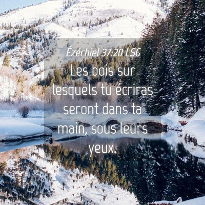 Picture 04 - Ézéchiel 37:20 LSG - Les bois sur lesquels tu écriras seront dans ta - Bible Verse Picture
