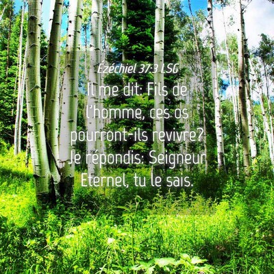 Picture 04 - Ézéchiel 37:3 LSG - Il me dit: Fils de l'homme, ces os pourront-ils - Bible Verse Picture