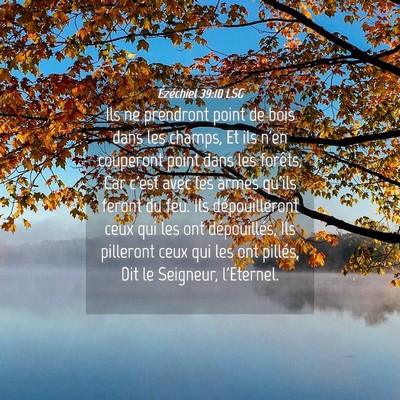 Picture 04 - Ézéchiel 39:10 LSG - Ils ne prendront point de bois dans les champs, - Bible Verse Picture
