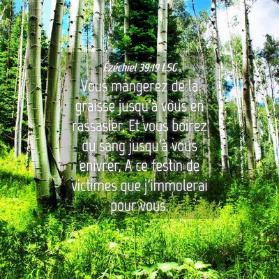 Picture 04 - Ézéchiel 39:19 LSG - Vous mangerez de la graisse jusqu'à vous en - Bible Verse Picture