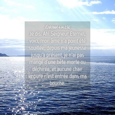 Picture 04 - Ézéchiel 4:14 LSG - Je dis: Ah! Seigneur Eternel, voici, mon âme n'a - Bible Verse Picture