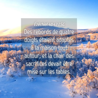 Picture 04 - Ézéchiel 40:43 LSG - Des rebords de quatre doigts étaient adaptés à - Bible Verse Picture