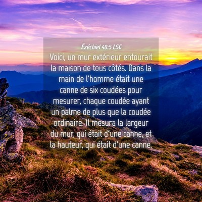 Picture 04 - Ézéchiel 40:5 LSG - Voici, un mur extérieur entourait la maison de - Bible Verse Picture
