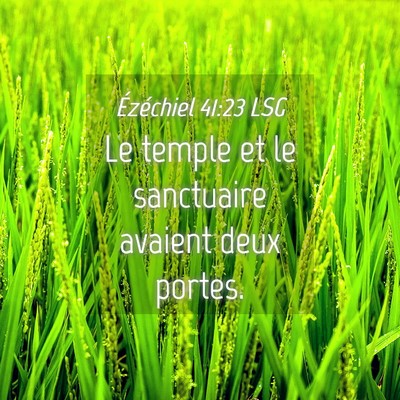 Picture 04 - Ézéchiel 41:23 LSG - Le temple et le sanctuaire avaient deux - Bible Verse Picture