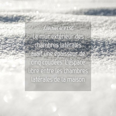 Picture 04 - Ézéchiel 41:9 LSG - Le mur extérieur des chambres latérales avait - Bible Verse Picture