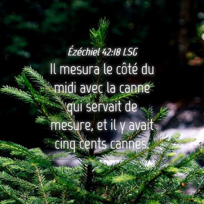 Picture 04 - Ézéchiel 42:18 LSG - Il mesura le côté du midi avec la canne qui - Bible Verse Picture