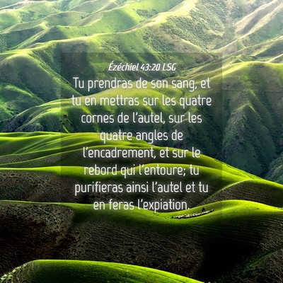 Picture 04 - Ézéchiel 43:20 LSG - Tu prendras de son sang, et tu en mettras sur les - Bible Verse Picture