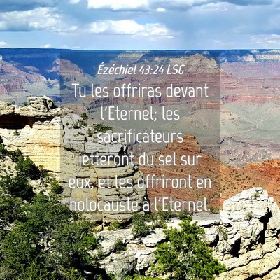 Picture 04 - Ézéchiel 43:24 LSG - Tu les offriras devant l'Eternel; les - Bible Verse Picture
