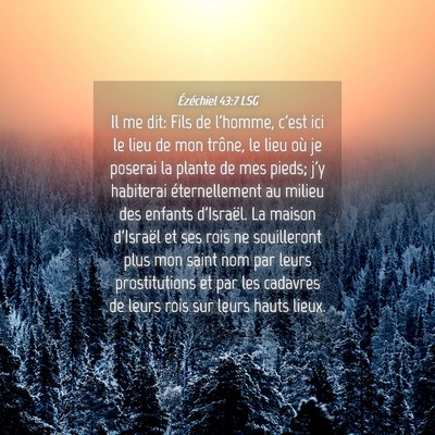 Picture 04 - Ézéchiel 43:7 LSG - Il me dit: Fils de l'homme, c'est ici le lieu de - Bible Verse Picture