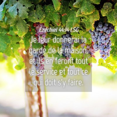 Picture 04 - Ézéchiel 44:14 LSG - Je leur donnerai la garde de la maison, et ils en - Bible Verse Picture