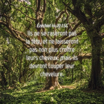 Picture 04 - Ézéchiel 44:20 LSG - Ils ne se raseront pas la tête, et ne laisseront - Bible Verse Picture