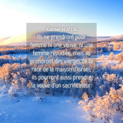 Picture 04 - Ézéchiel 44:22 LSG - Ils ne prendront pour femme ni une veuve, ni une - Bible Verse Picture
