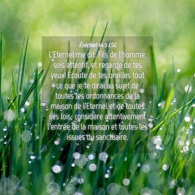 Picture 04 - Ézéchiel 44:5 LSG - L'Eternel me dit: Fils de l'homme, sois attentif, - Bible Verse Picture