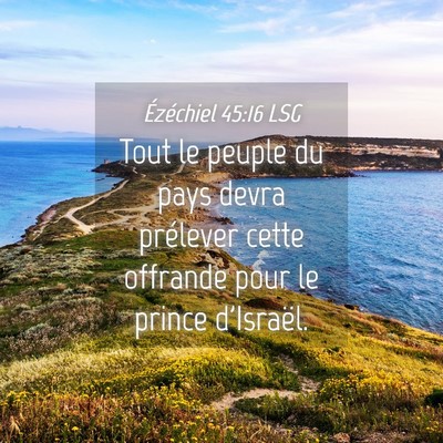 Picture 04 - Ézéchiel 45:16 LSG - Tout le peuple du pays devra prélever cette - Bible Verse Picture