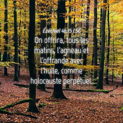 Picture 04 - Ézéchiel 46:15 LSG - On offrira, tous les matins, l'agneau et - Bible Verse Picture