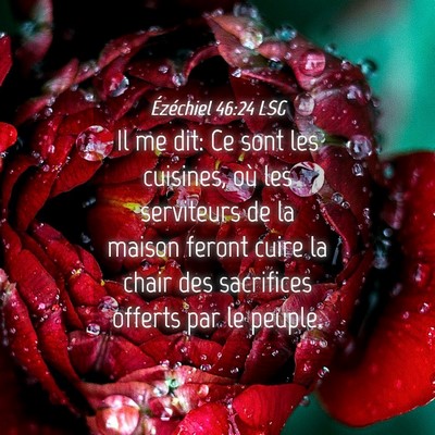Picture 04 - Ézéchiel 46:24 LSG - Il me dit: Ce sont les cuisines, où les - Bible Verse Picture