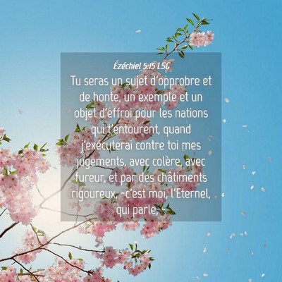 Picture 04 - Ézéchiel 5:15 LSG - Tu seras un sujet d'opprobre et de honte, un - Bible Verse Picture
